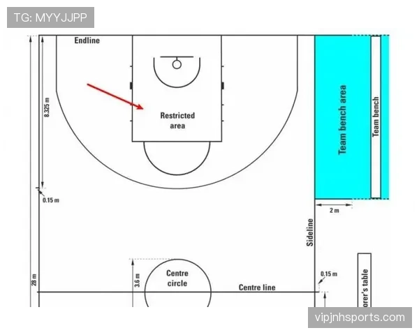 想要看懂国际比赛？全面解析FIBA和NBA规则区别的关键不同